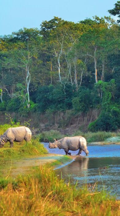 Chitwan Jungle Safari
